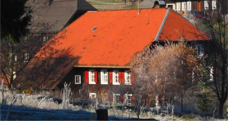 Schwarzwaldbauernhaus Bernau - Ferienhaus